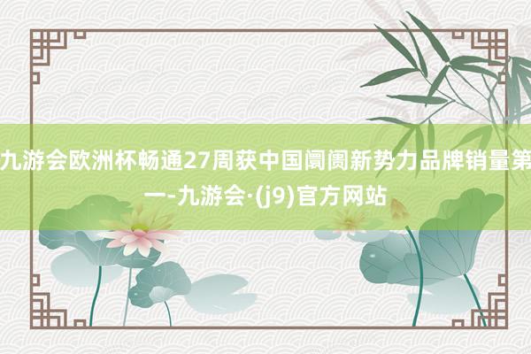 九游会欧洲杯畅通27周获中国阛阓新势力品牌销量第一-九游会·(j9)官方网站