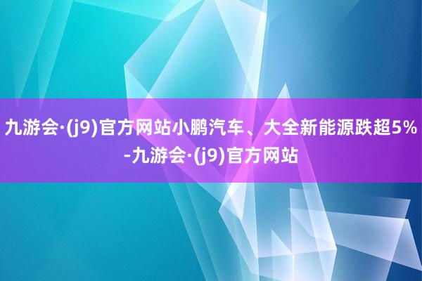 九游会·(j9)官方网站小鹏汽车、大全新能源跌超5%-九游会·(j9)官方网站