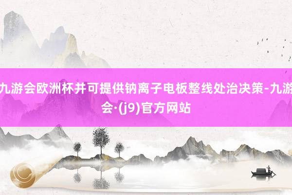 九游会欧洲杯并可提供钠离子电板整线处治决策-九游会·(j9)官方网站