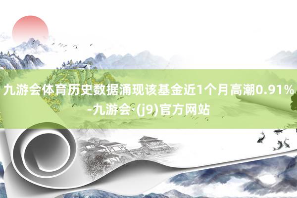 九游会体育历史数据涌现该基金近1个月高潮0.91%-九游会·(j9)官方网站