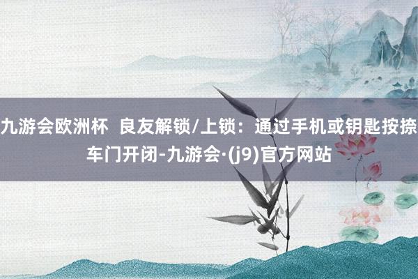 九游会欧洲杯  良友解锁/上锁：通过手机或钥匙按捺车门开闭-九游会·(j9)官方网站